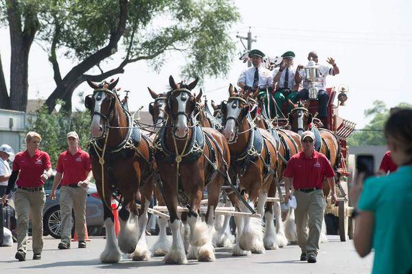 Clydesdale bring PGA Trophy to Club