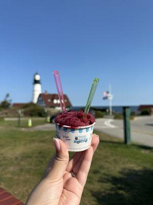 Gorgeous Gelato - Fort Williams Park