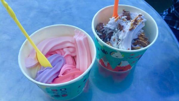 Frozen yogurt!!! $8 for all this!!!