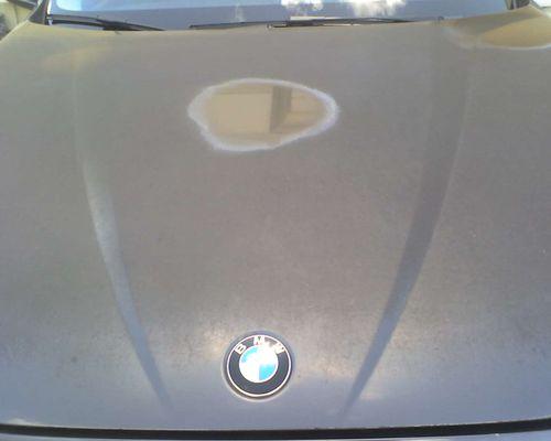 B4 pic of BMW hood restore paint