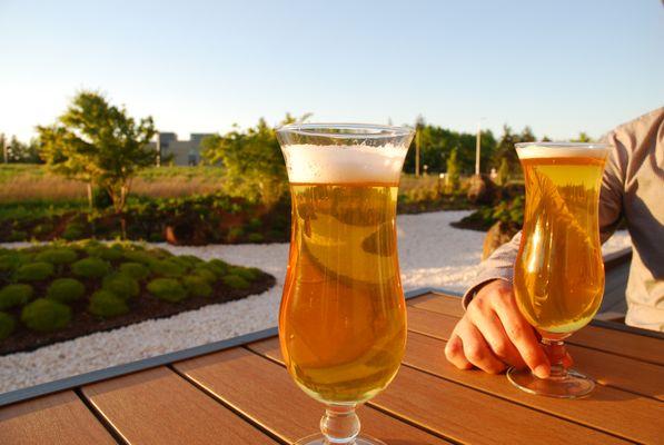 Beer at the Japanese garden