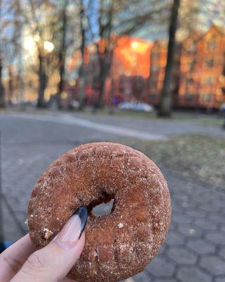 Apple Cider donut