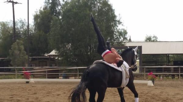 Point those toes for extra points!  Equestrian vaulting is...like gymnastics on horseback. No joke.