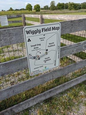 Wiggly Field, West Chester OH