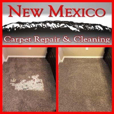 Albuquerque large pet damage repair by New Mexico Carpet Repair and Cleaning.