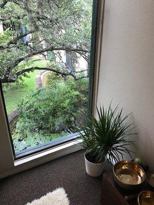 View out the window to trees and a lily pond.