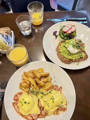 Eggs Benedict and avocado toast