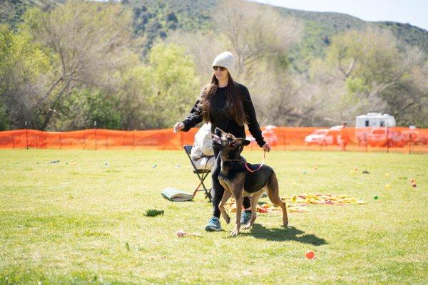 Happy Feet Dog Training