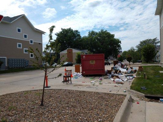 Living here is like living in the landfill. All the garbage sitting around attracts lots of flies!