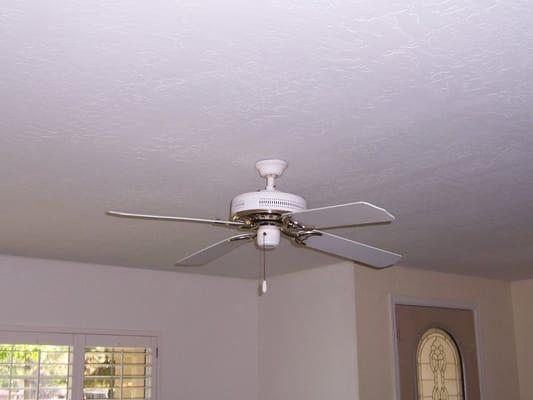 fresh new ceiling