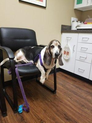 My Duncan in one of the exam rooms