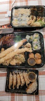 Beef terriyaki bento box, sushi rolls and gyoza