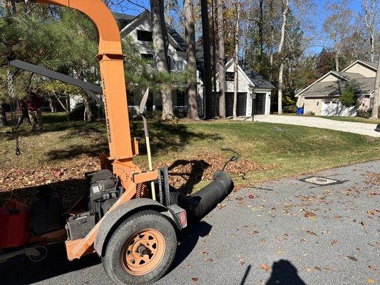 Leaf removal services from residential to commercial!!