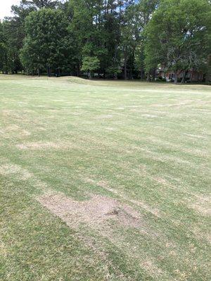 Fairways scalped my mower