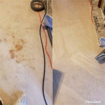 Spot removal from carpet select steam