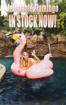 Giant inflatable flamingo and swan are available now at Niguel Pool Supply!