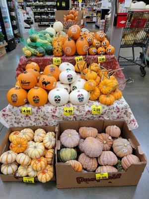 pumpkins for sale