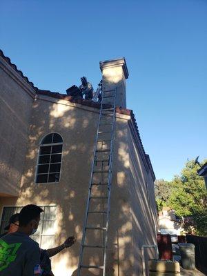 Bee Removal from a chimney.