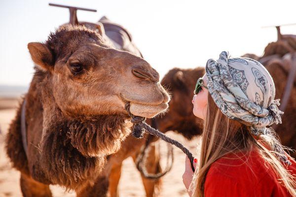 Journey Morocco