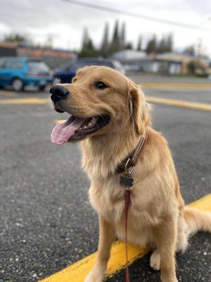 Clean Pup!