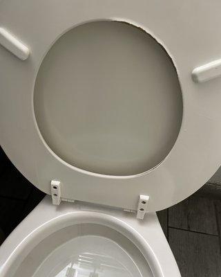 Toilet in need of update