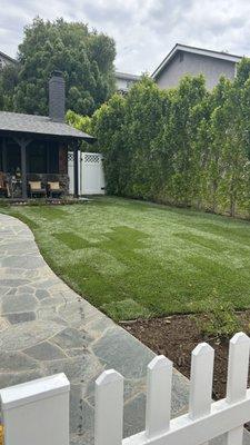 Natural grass