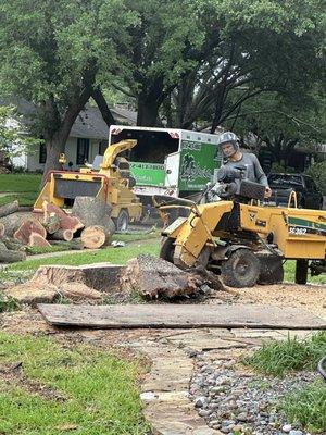 Grinding down at the stump.