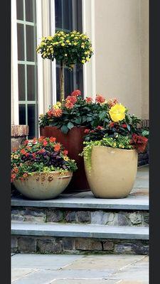 Summer planters