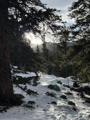 View from Chicago Lakes Trail