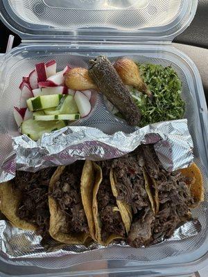 Barbacoa Mini Tacos