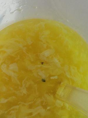 Bug and black debris in egg drop soup