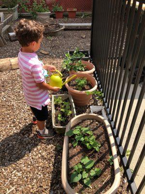 "At Home In The Arts" Gardening