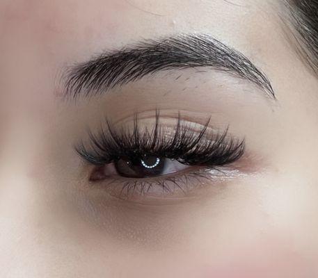 6D wispy lashes