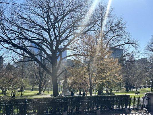 Boston Common