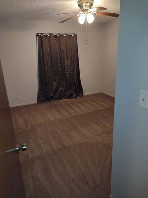 Look at those carpet lines in this move out clean....