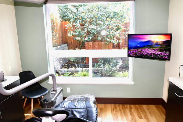 Our treatment rooms look out through large windows onto our courtyard garden.