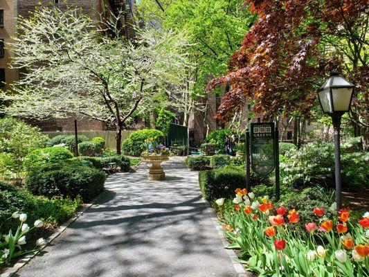 Beautiful Flowers - "Pocket Park" helps to boost urban spirits