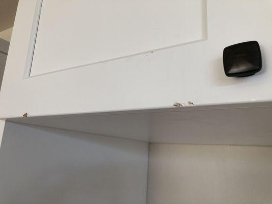 Nearly all kitchen cabinet doors needed to be replaced due to huge scratches. They tried to paint these at first, but wood was gouged into.