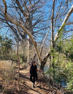 Blue Hole Regional Park ~ Wimberley Texas