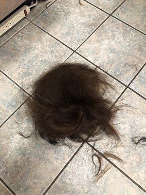 Pounds of hair off !!