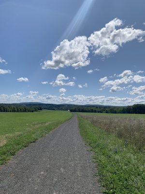 Mohonk Preserve Trail