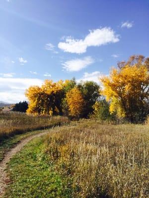 The hiking trail at creature comforts