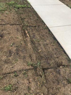 Contractors running over sod