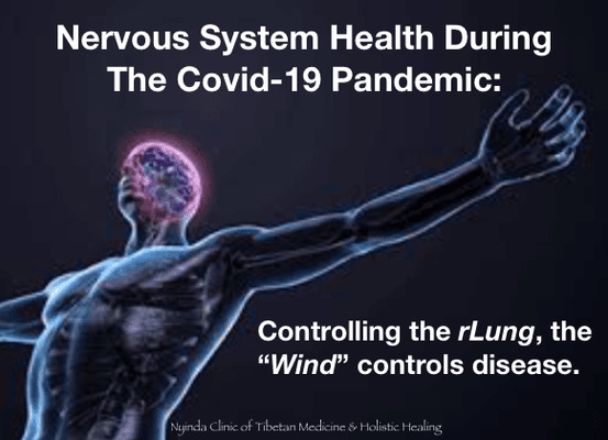 Nervous system health is key to balance in a global pandemic