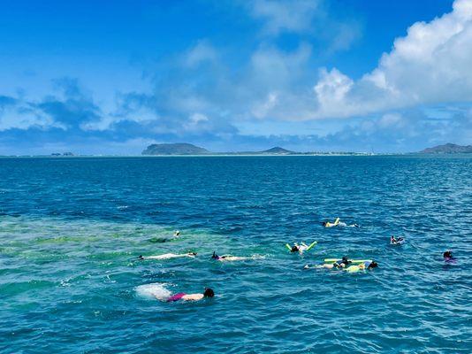 Snorkeling at the reef