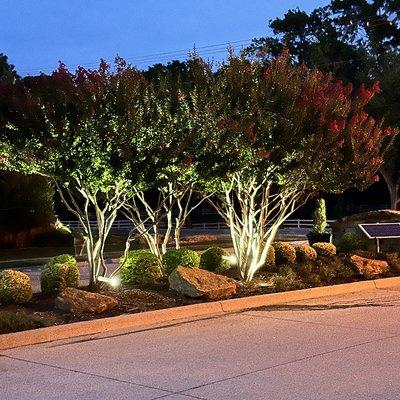 Professional, commercial grade, outdoor landscape lighting systems. Solar powered. Choice of LED fixtures.