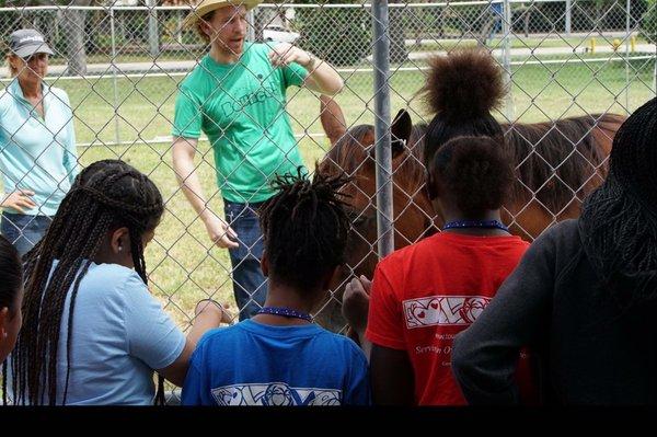 Youth in Bounce! trauma resolution program receive instruction about how horse-assisted therapy works.