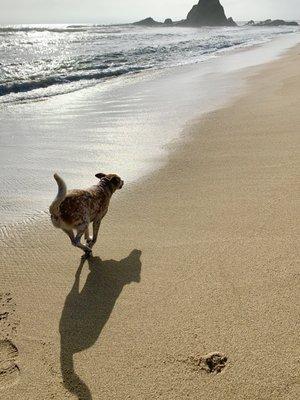 When you fly like the wind as far as you can go, it's a thing of beauty! If love could have saved you, you would've lived forever sweet girl