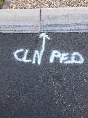 They came out months ago and marked the street....