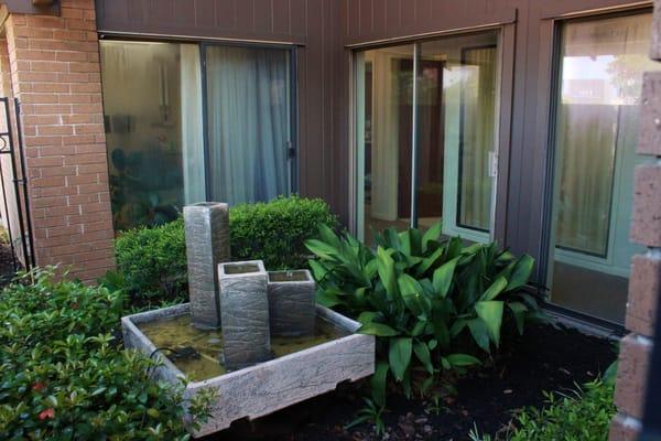 Our tranquil atrium visible from two of our treatment rooms.